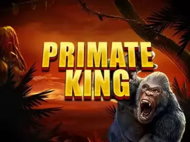 Evolve Casino screenshot